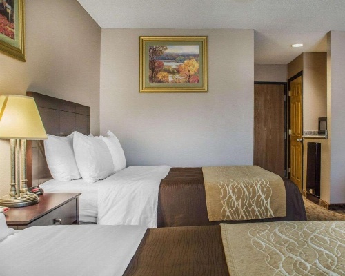 Quality Inn Lockport image 11