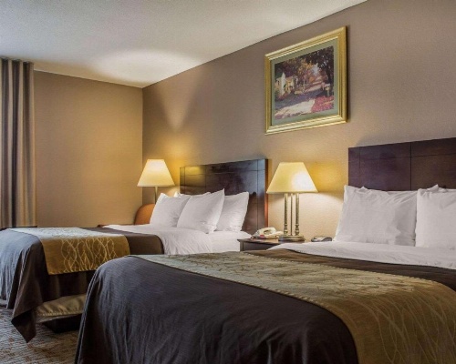 Quality Inn Lockport image 19