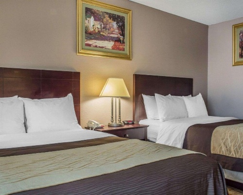 Quality Inn Lockport image 9